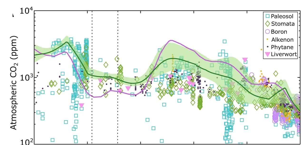 Open access visualization of Scatter Plot, Line Plot, Error Bars, SCION, SCION-FLORA