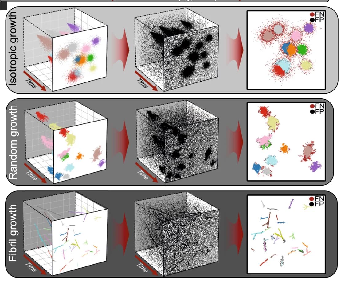 Open access visualization of 3D Plot, Time-resolved Aggregations, Isotropic Aggregates, Branching Fibrils, Cluster Identification