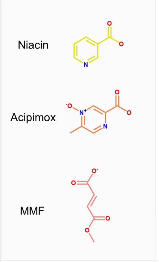 Open access visualization of Chemical Structure, Niacin, Acipimox, MMF, Chemical Structures