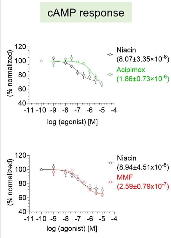 Open access visualization of Line Plot, Error Bars, Acipimox, MMF, Forskolin