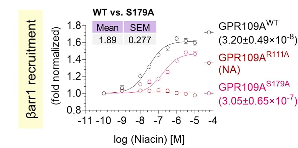 Open access visualization of Line Plot, Error Bars, NanoBiT, beta-arrestin 1 Recruitment, GPR109A WT