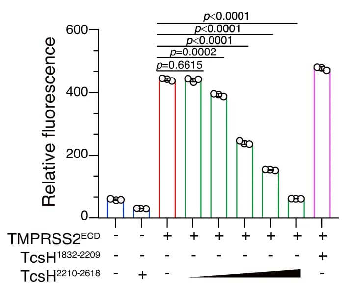 Open access visualization of Bar Plot, Error Bars, Proteolytic Activity, TMPRSS2 ECD, Relative Fluorescence