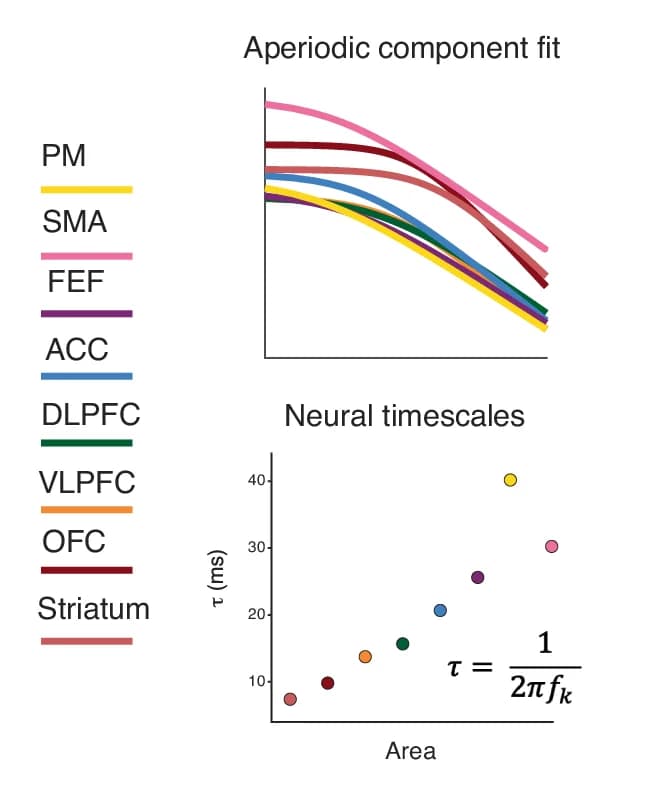 Open access visualization of Scatter Plot, Line Plot, Aperiodic Component, Power Spectral Densities, Spectral Parameterization