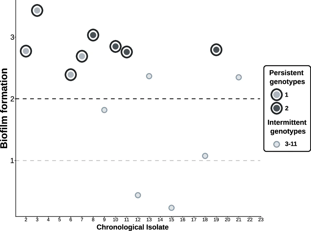 Open access visualization of Scatter Plot, Bubble Plot, Biofilm, Biofilm Formation