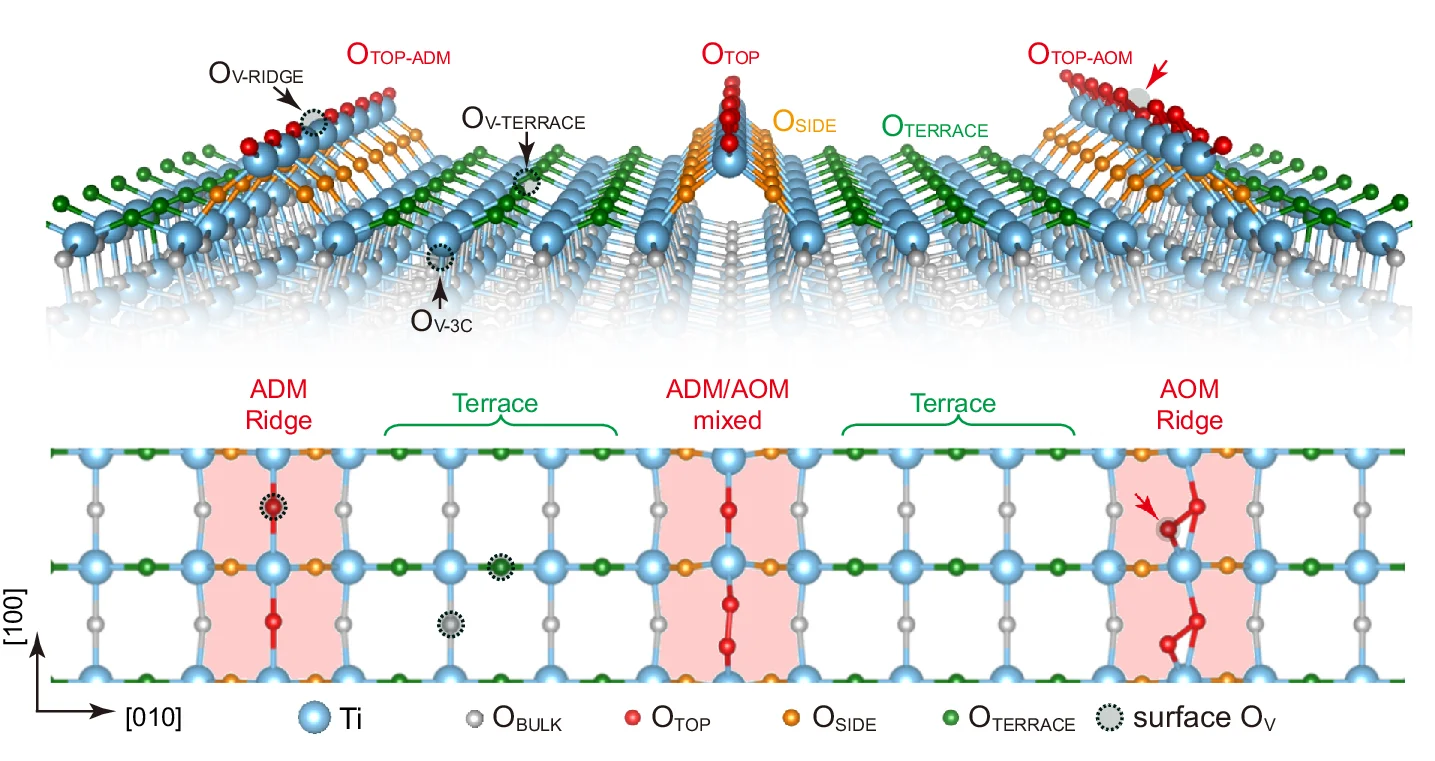 Open access visualization of Protein Structure, Chemical Structure, Structural Model, Reconstructed Surface, Side View