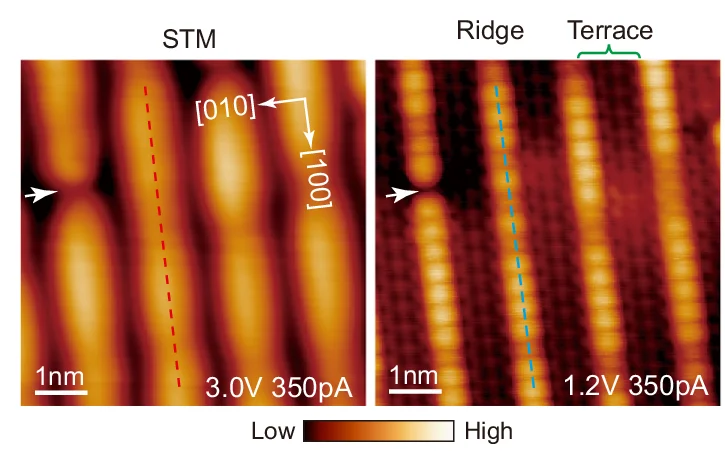 Open access visualization of Microscopy, STM Images, Empty-State, High Bias, High-Resolution