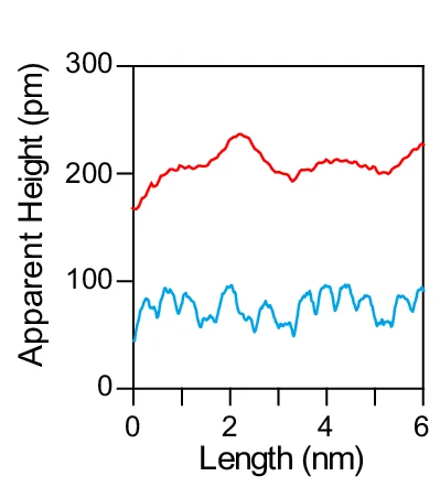Open access visualization of Line Plot, Line Profiles, STM Image, High Bias, Electronic Distributions