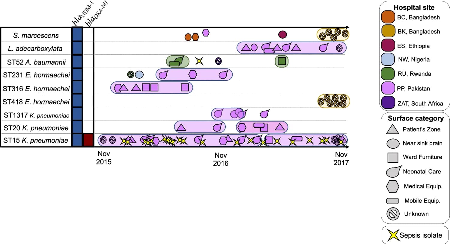 Open access visualization of Line Plot, Scatter Plot, Sequence Types, Antimicrobial Resistance Genes, Isolates