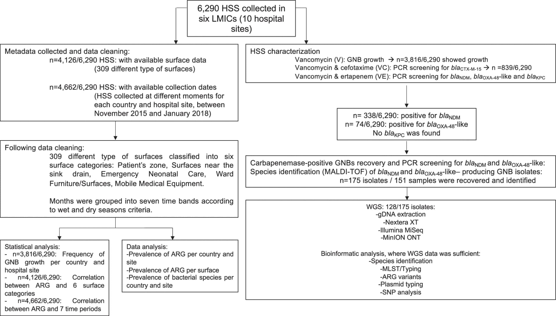 Open access visualization of Workflow, Flowchart, Hospital Surface Swabs, Gram-Negative Bacteria, Antimicrobial Resistance Genes