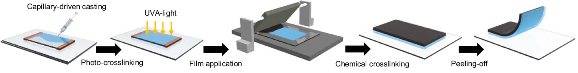 Open access visualization of Workflow, PtBA-GNPE Bilayer, Fabrication Process