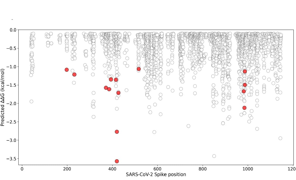 Open access visualization of Scatter Plot, Volcano Plot, SARS-CoV-2, S Glycoprotein, Saturation Mutagenesis