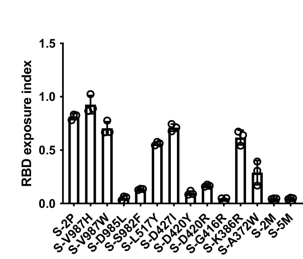 Open access visualization of Bar Plot, Error Bars, RBD Exposure Index, Recombinant Proteins, RBD Binding