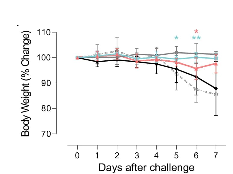 Open access visualization of Line Plot, Error Bars, Weight Variation, SARS-CoV-2 D614G, K18-hACE2 Mice