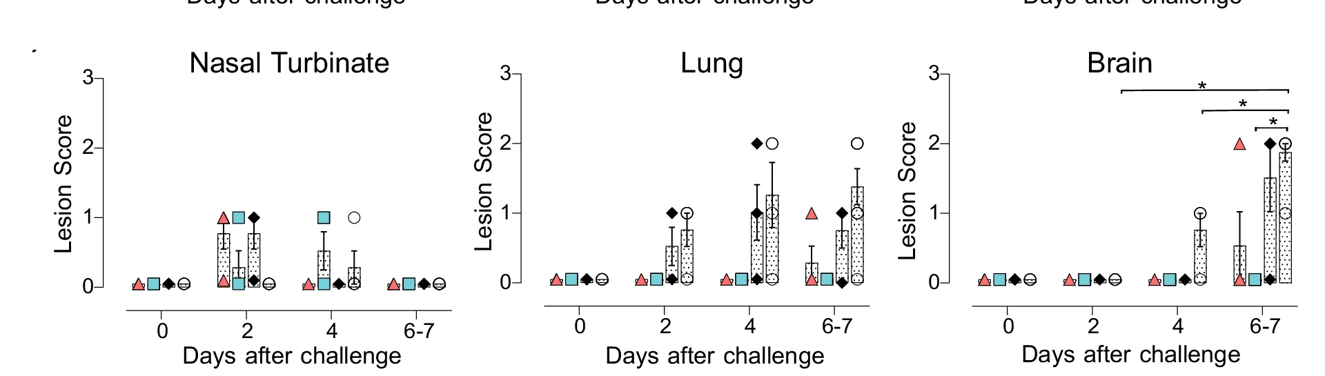 Open access visualization of Bar Plot, Error Bars, Scatter Plot, Histopathology, Nasal Turbinate