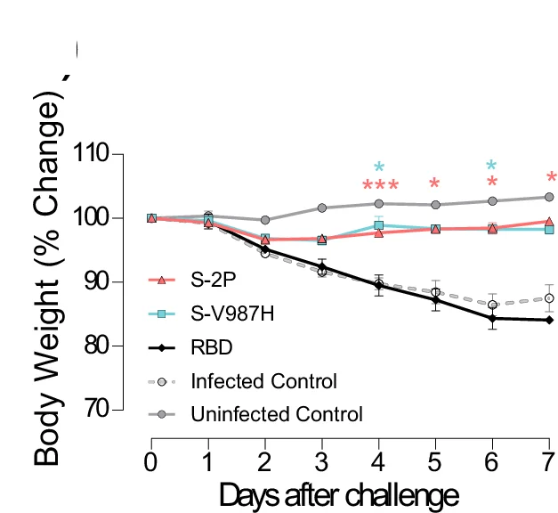 Open access visualization of Line Plot, Error Bars, Weight Variation, SARS-CoV-2 D614G, Statistical Analysis