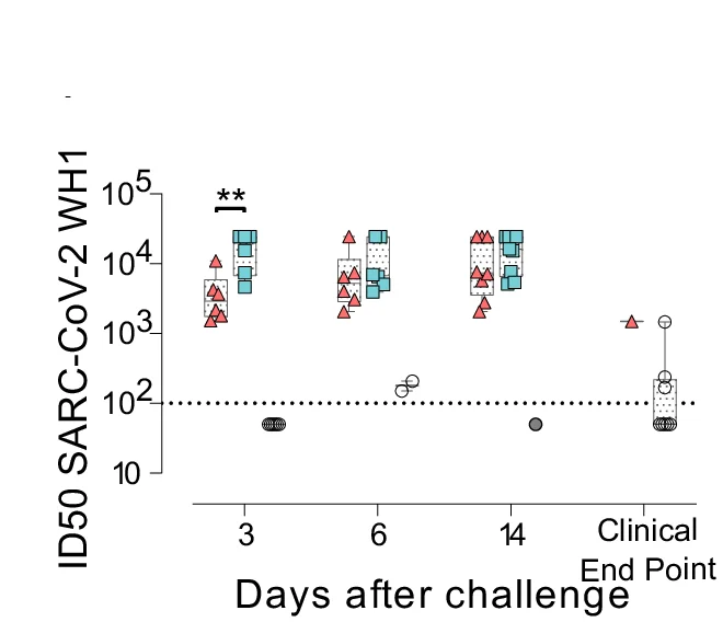 Open access visualization of Box Plot, Scatter Plot, Neutralizing Activity, SARS-CoV-2 WH-1, Viral Challenge