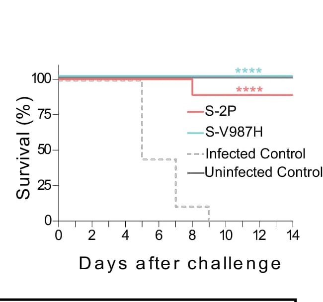 Open access visualization of Survival Curve, Kaplan-Meier Plot, Survival Rate, SARS-CoV-2, Viral Challenge
