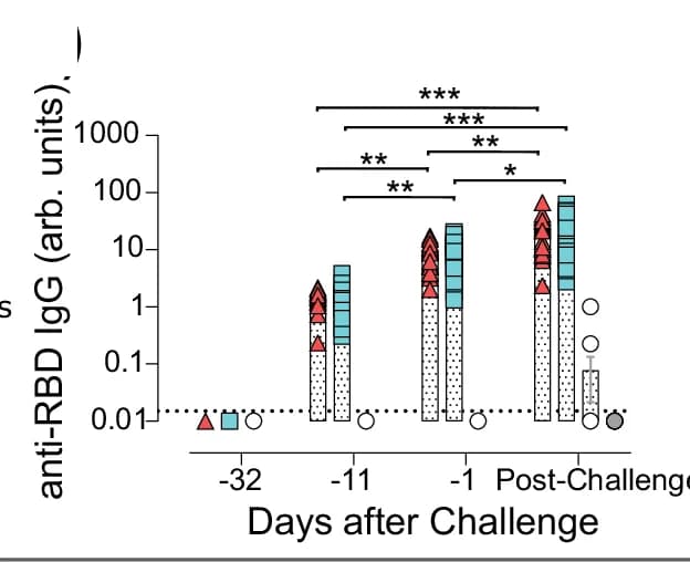 Open access visualization of Bar Plot, Error Bars, Stacked Bar Plot, Scatter Plot, Anti-RBD Antibodies