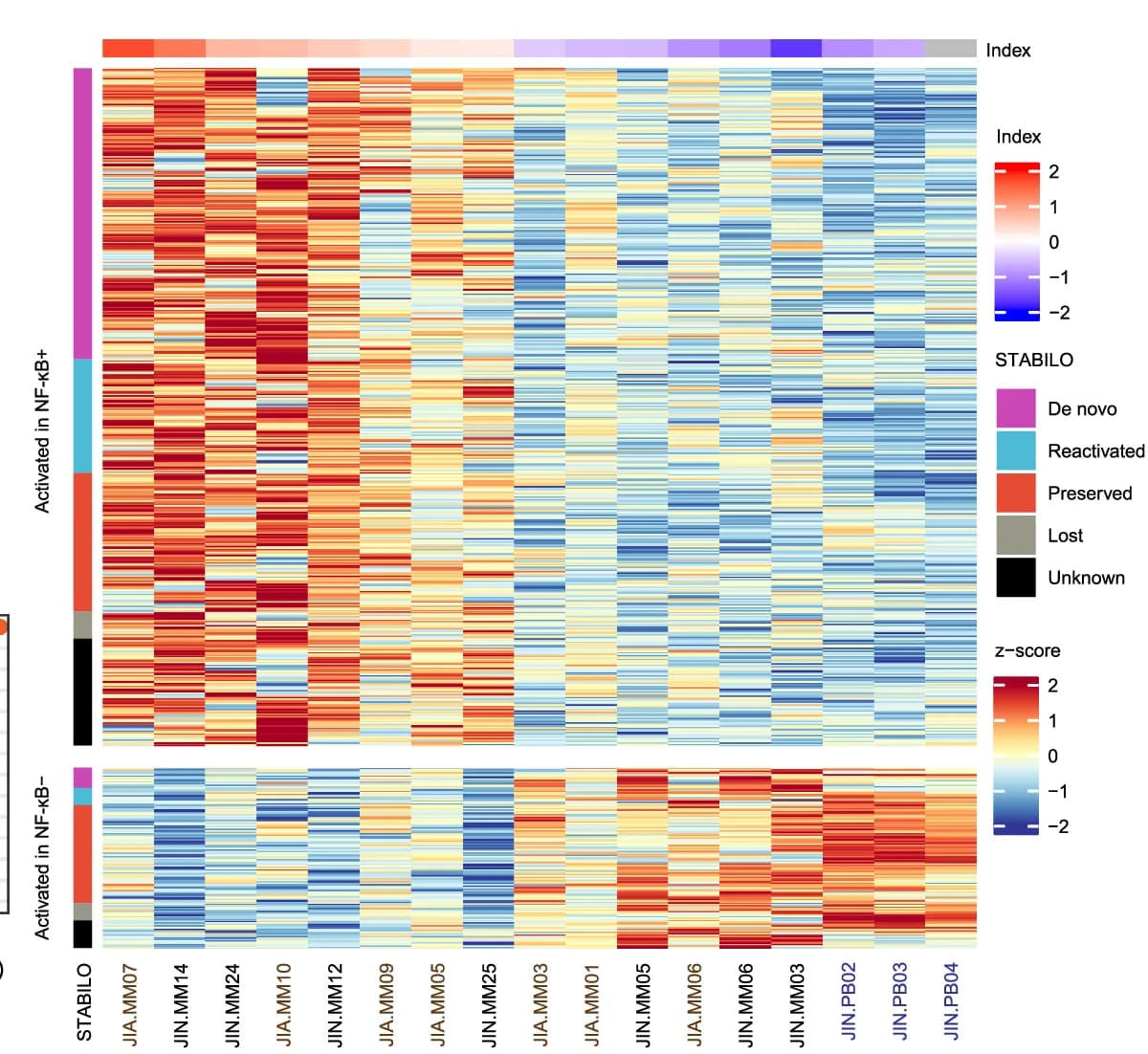 Open access visualization of Heatmap, H3K27ac Signal, p52 Binding Sites, Multiple Myeloma, NF-κB Index