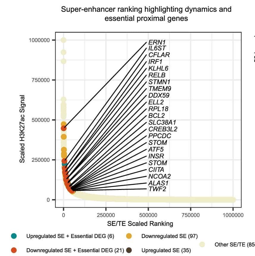 Open access visualization of Scatter Plot, SEs, Signal Dynamics, Essential Genes