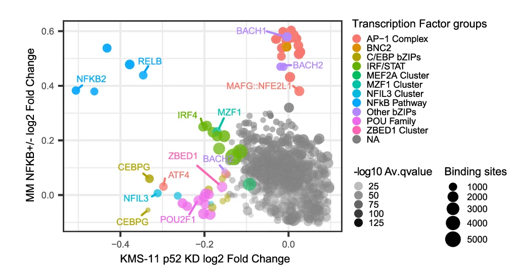 Open access visualization of Scatter Plot, Bubble Plot, Volcano Plot, Transcription Factor Binding, SEs