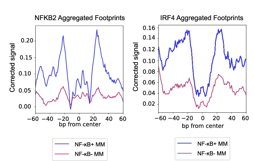 Open access visualization of Line Plot, NFKB2, IRF4, Transcription Factors, NF-κB