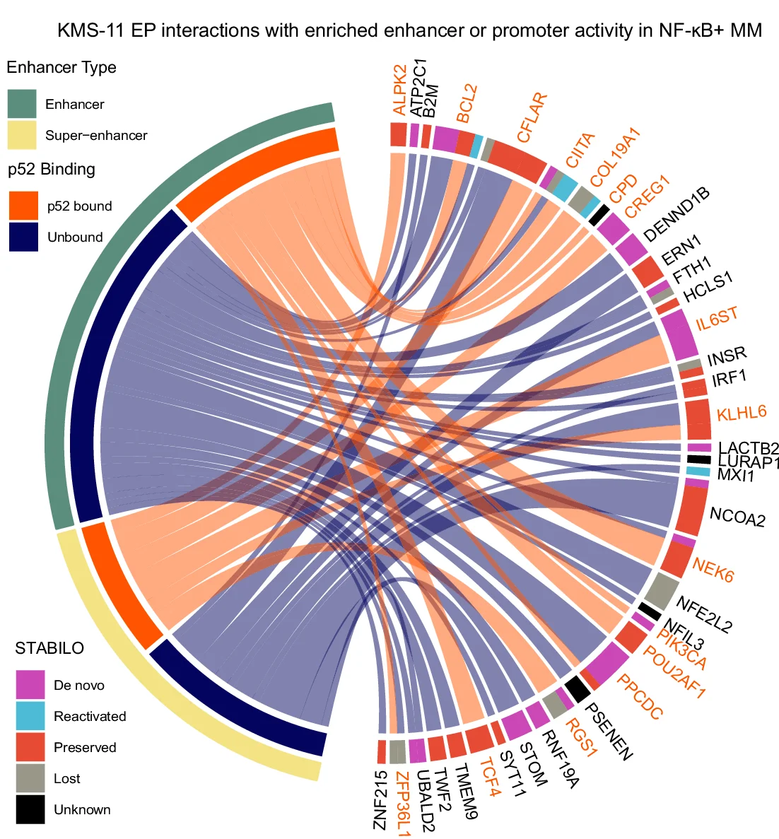 Open access visualization of Chord, Enhancers, H3K27 Acetylation, Target Gene Expression, Epigenomic Activity