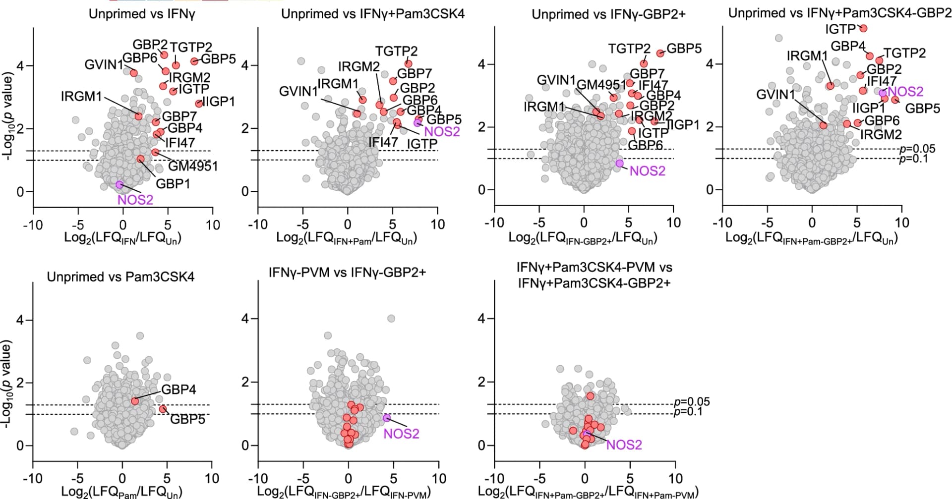 Open access visualization of Scatter Plot, Volcano Plot, Proteins, PVM region, Pam3CSK4