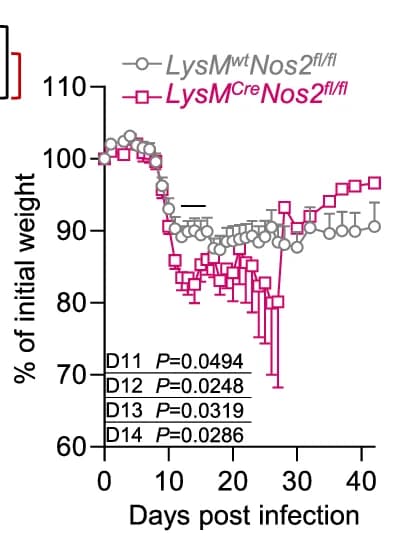 Open access visualization of Line Plot, Error Bars, Mice, Weight Loss