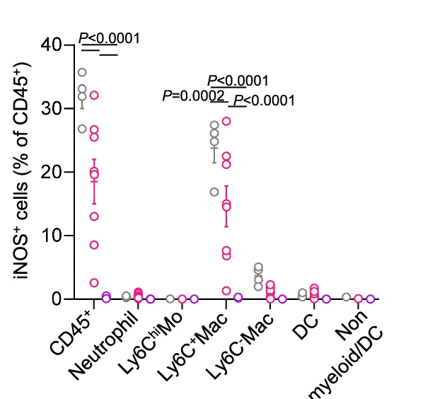 Open access visualization of Scatter Plot, Error Bars, iNOS, iNOS-positive Cells