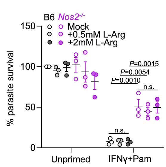 Open access visualization of Scatter Plot, Error Bars, BM-MoDCs, Parasite Growth, L-Arginine