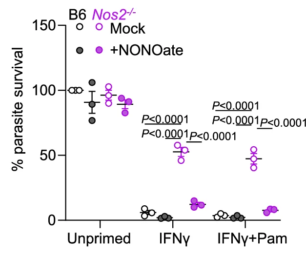 Open access visualization of Scatter Plot, Error Bars, NO Donor, DETA NONOate, BM-MoDCs