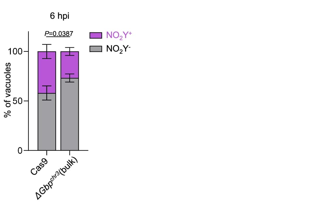 Open access visualization of Stacked Bar Plot, Error Bars, Chromosome 3 GBPs, RAW Cells
