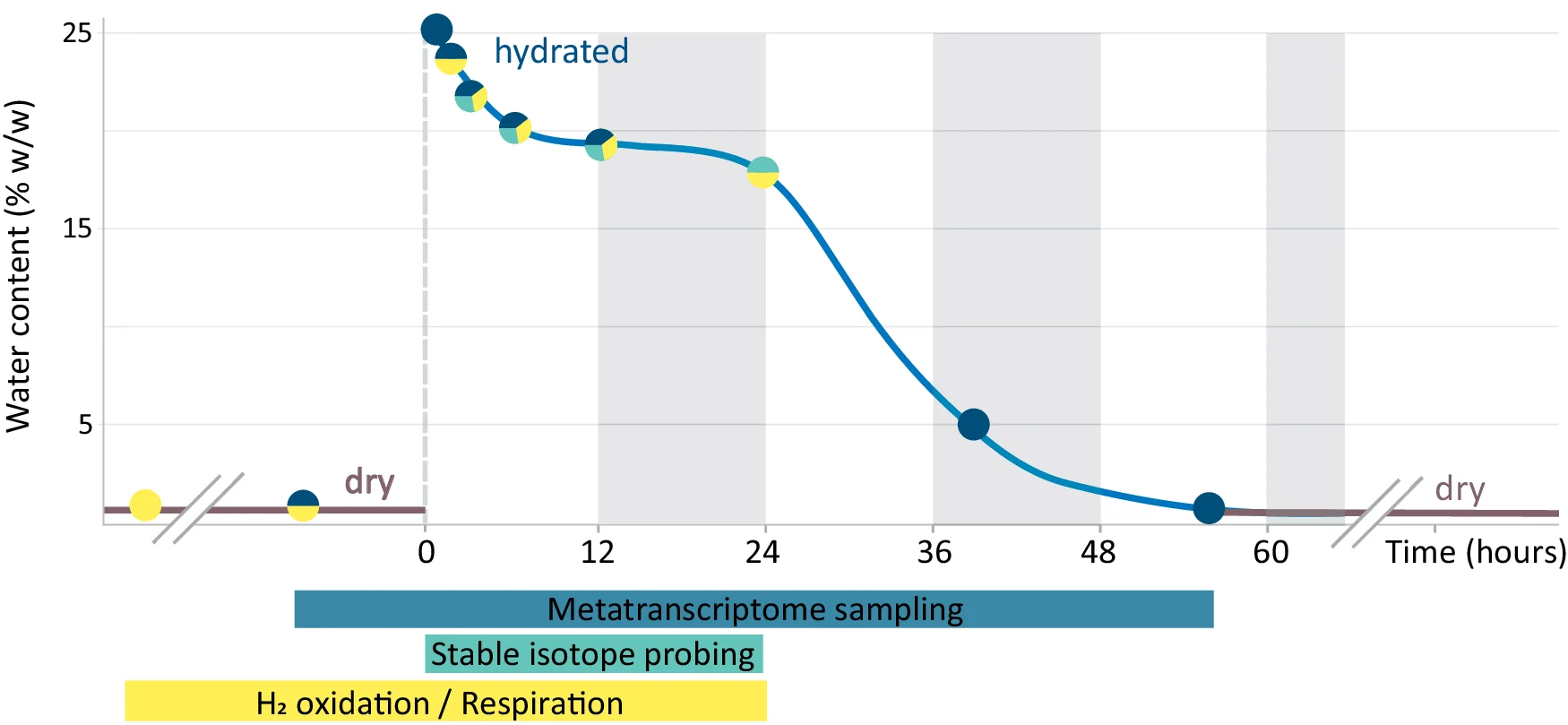 Open access visualization of Line Plot, Sampling Time Points, Hydration, Desiccation, Climate Chamber