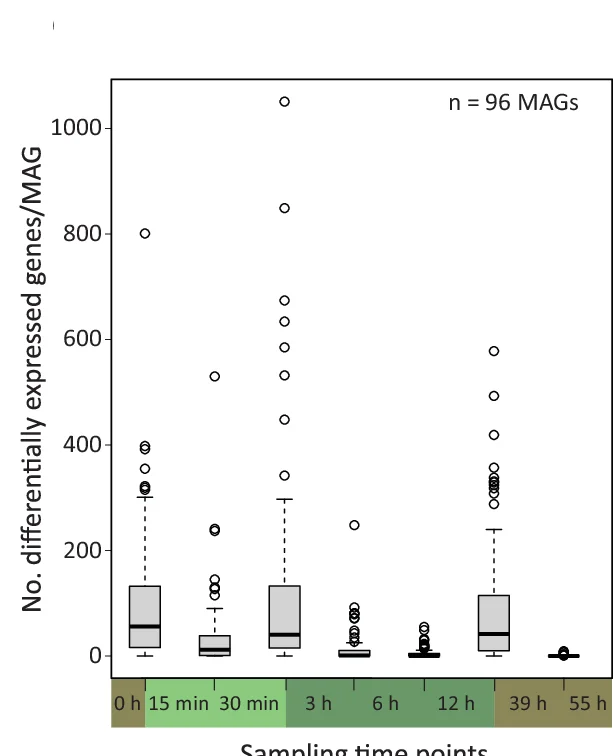 Open access visualization of Box Plot, Differentially Expressed Genes, MAG, Time Points, Boxplots