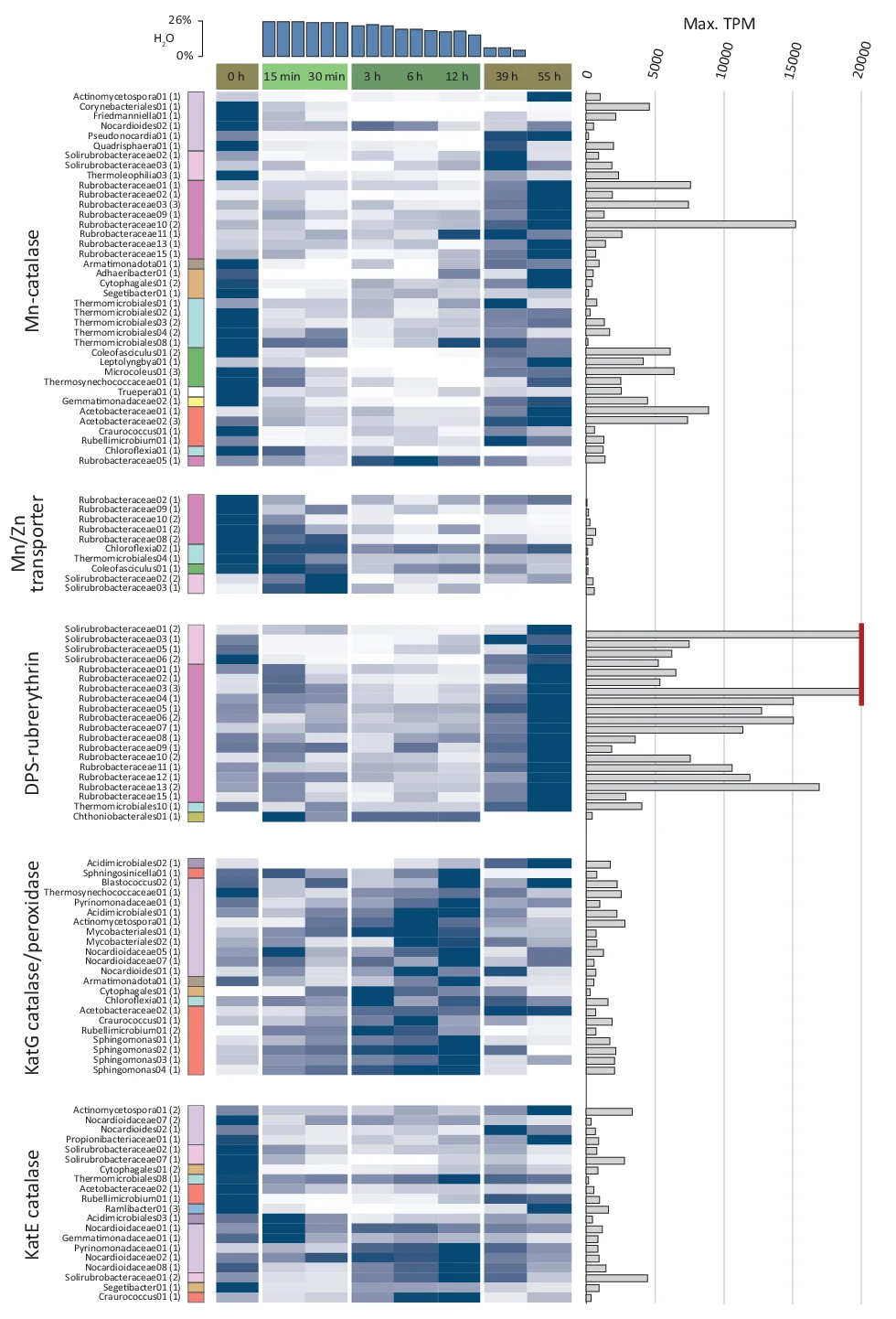 Open access visualization of Heatmap, Bar Plot, Transcript Abundance, Reactive Oxygen Scavenging, Osmoprotectant Synthesis