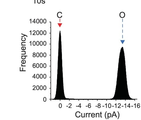 Open access visualization of Histogram, Current Histogram, Closed State, Open State