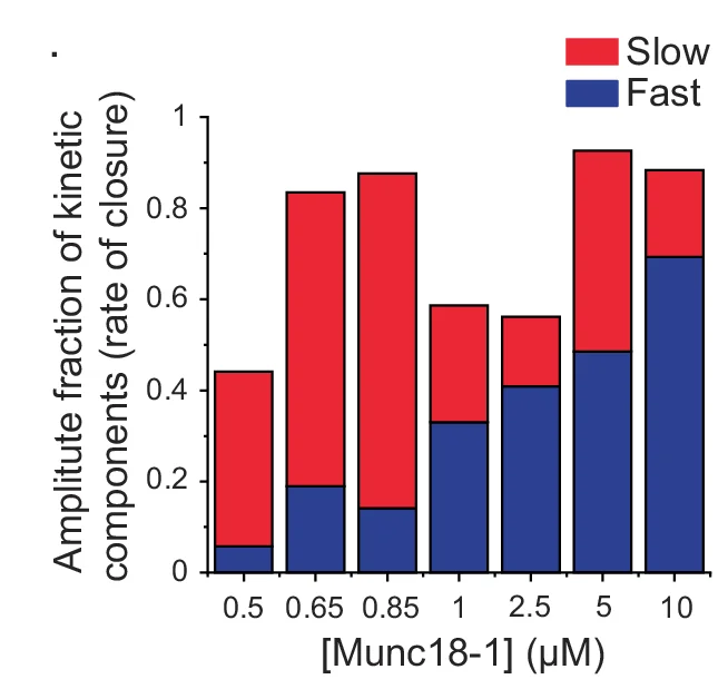 Open access visualization of Stacked Bar Plot, Stacked Column Plots, Kinetic Components, Pore Closures, Open Dwell Time