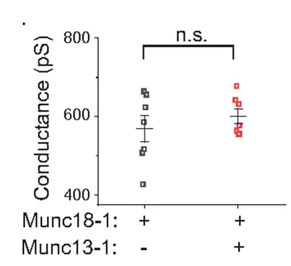 Open access visualization of Scatter Plot, Error Bars, Pore Conductance, Pooled Data