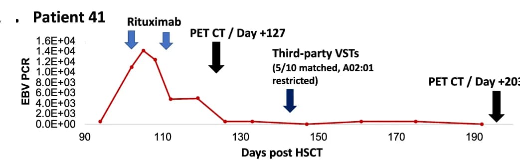 Open access visualization of Line Plot, EBV Viral Loads, Rituxan, VST Therapy