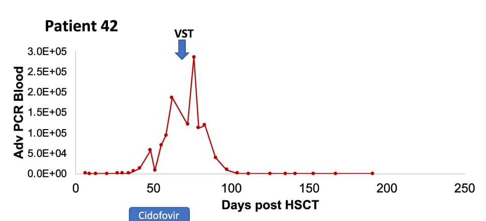 Open access visualization of Line Plot, Viral Loads, VST Therapy, Antiviral Medications, Foscarnet