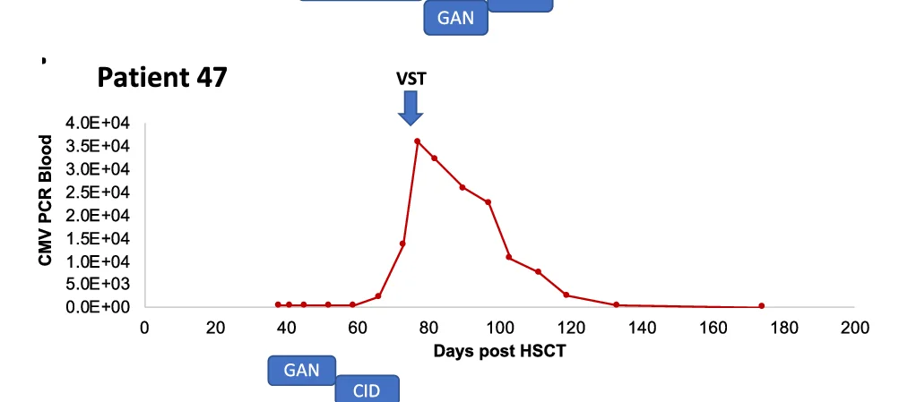 Open access visualization of Line Plot, Viral Loads, VST Therapy, Antiviral Medications, Foscarnet