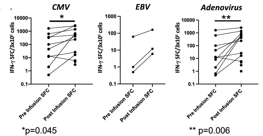 Open access visualization of Scatter Plot, Line Plot, IFN-γ Elispot, Viral Antigens, VST Therapy