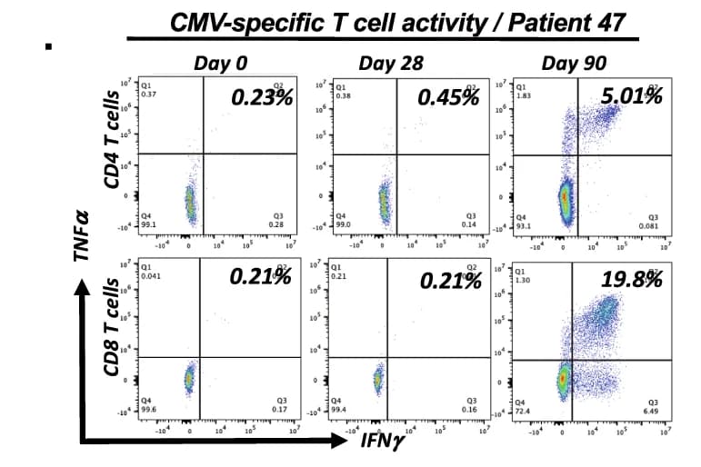 Open access visualization of Scatter Plot, T Cell Reconstitution, Intracellular Cytokine Staining, Viral Antigens, Ex Vivo Expansion