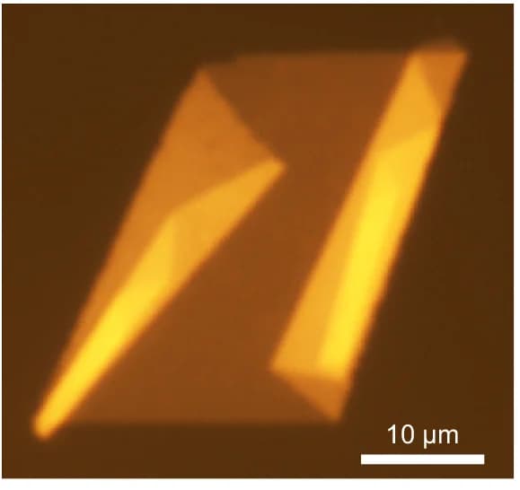Open access visualization of Microscopy, Photo, Optical Reflection Micrographs, 2D Gold Film, Folding