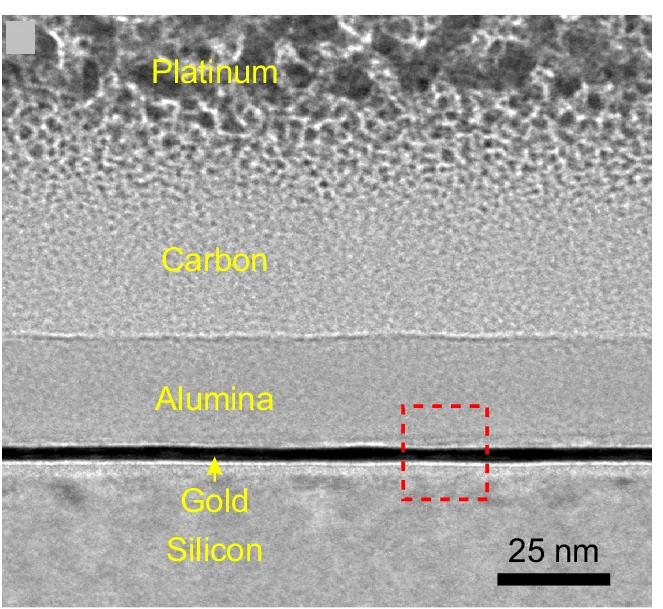 Open access visualization of Microscopy, TEM Image, 2DGF