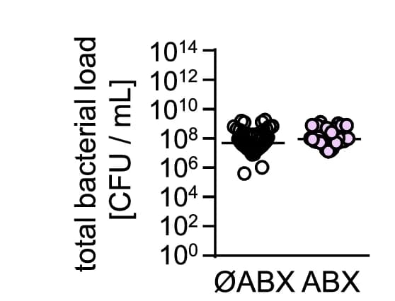 Open access visualization of Scatter Plot, Bacterial Loads, Fecal Samples, Antibiotic-treated Patients, Untreated Patients