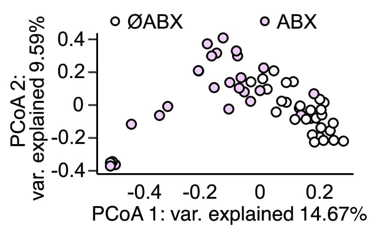 Open access visualization of Scatter Plot, PCA, PCoA, Beta Diversity, Bray-Curtis Dissimilarities