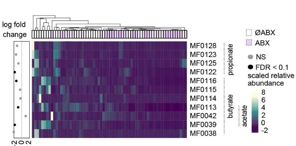 Open access visualization of Heatmap, Clustered, Gene Modules, SCFAs, Fecal Samples