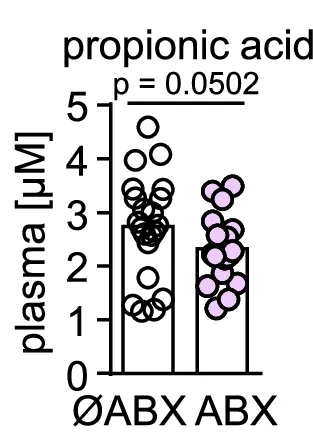 Open access visualization of Bar Plot, Scatter Plot, SCFA Concentrations, Plasma Samples, Antibiotic-treated Patients